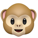 sassy monkey