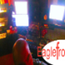 eaglefrog studio