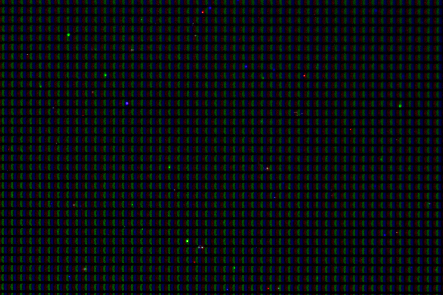 λιποθυμία αγριόχορτο Μοναστήρι blue dots on my computer screen Μάρτιν ...