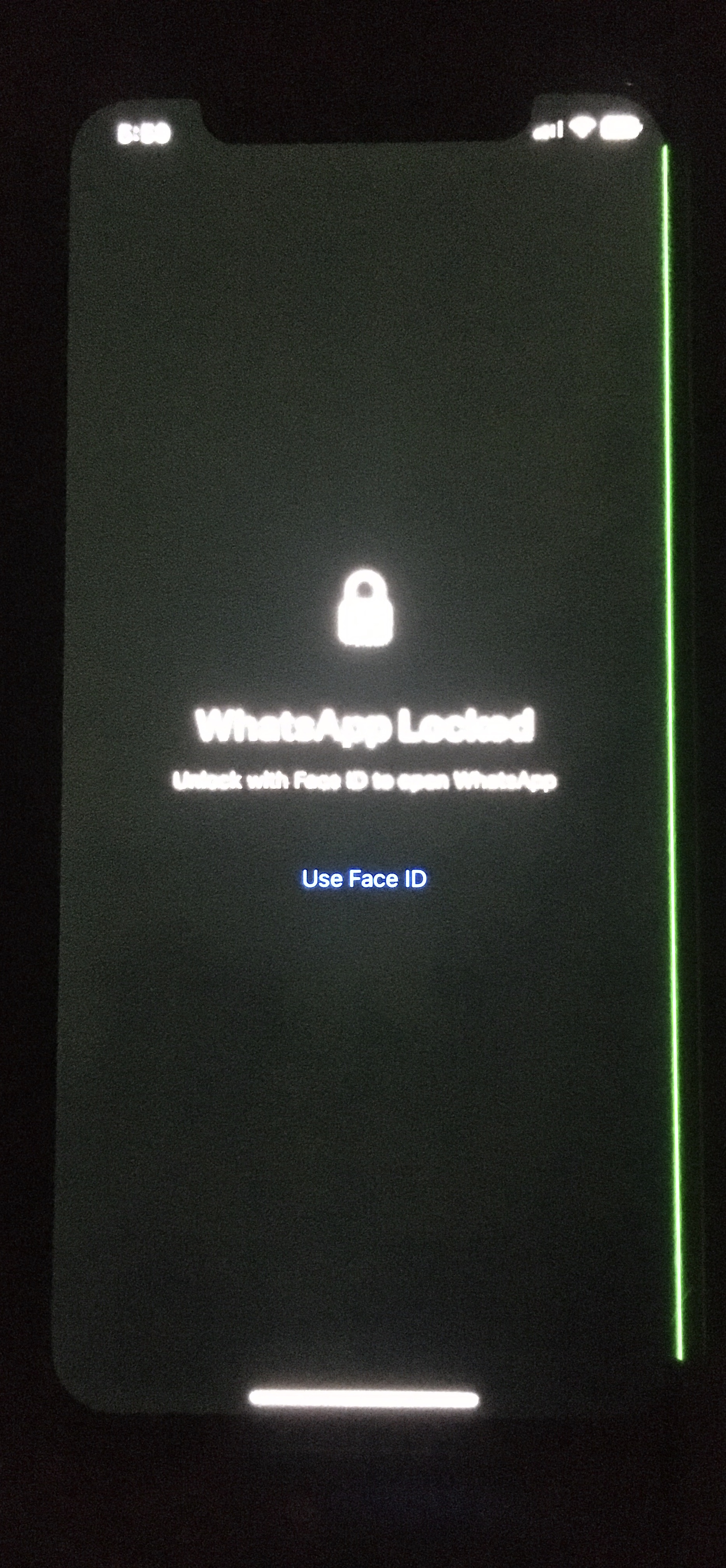 Green line on iPhone XS. [Did not drop it] Apple Community