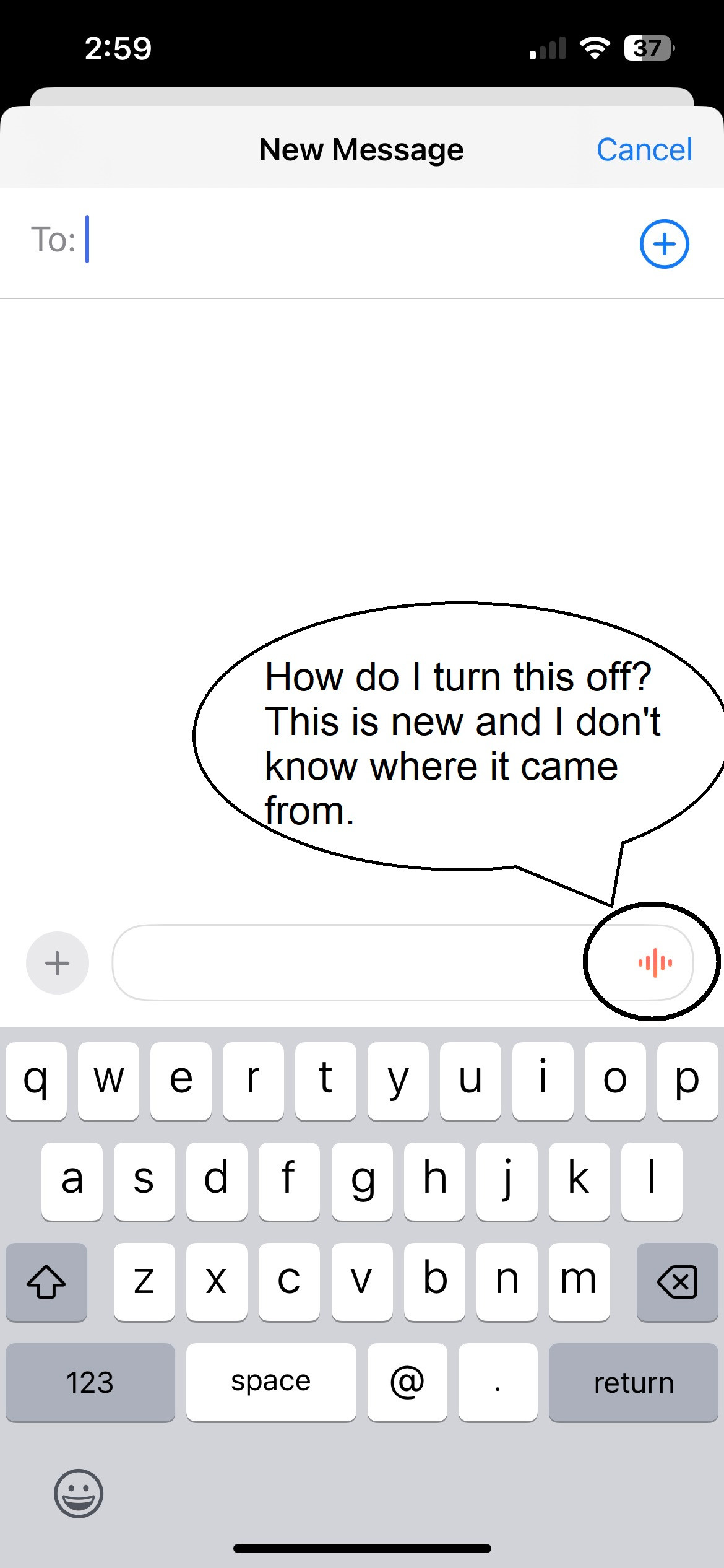 How To Turn Off Audio In Messages Apple Community