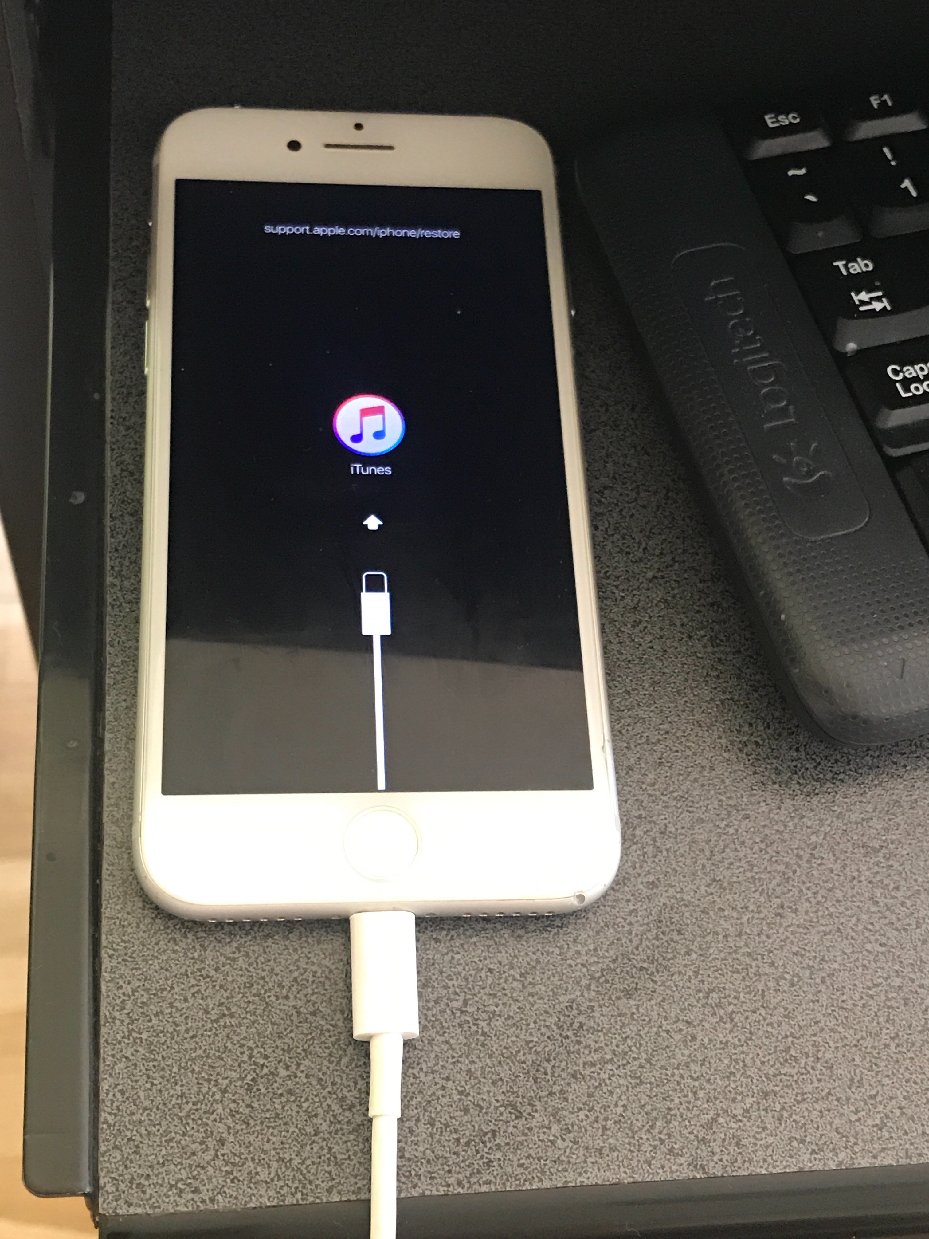 How to Easily Fix the iPhone White Screen of Death