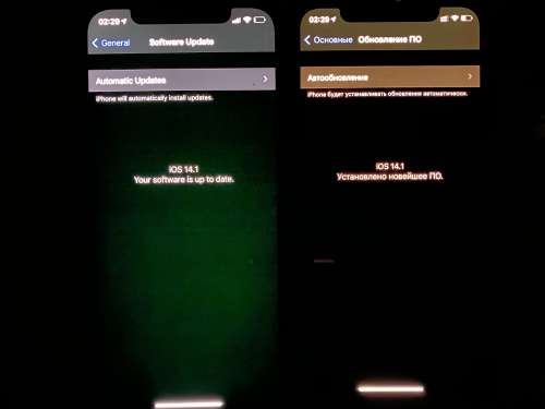 iPhone 12 OLED Screen Issue - Apple