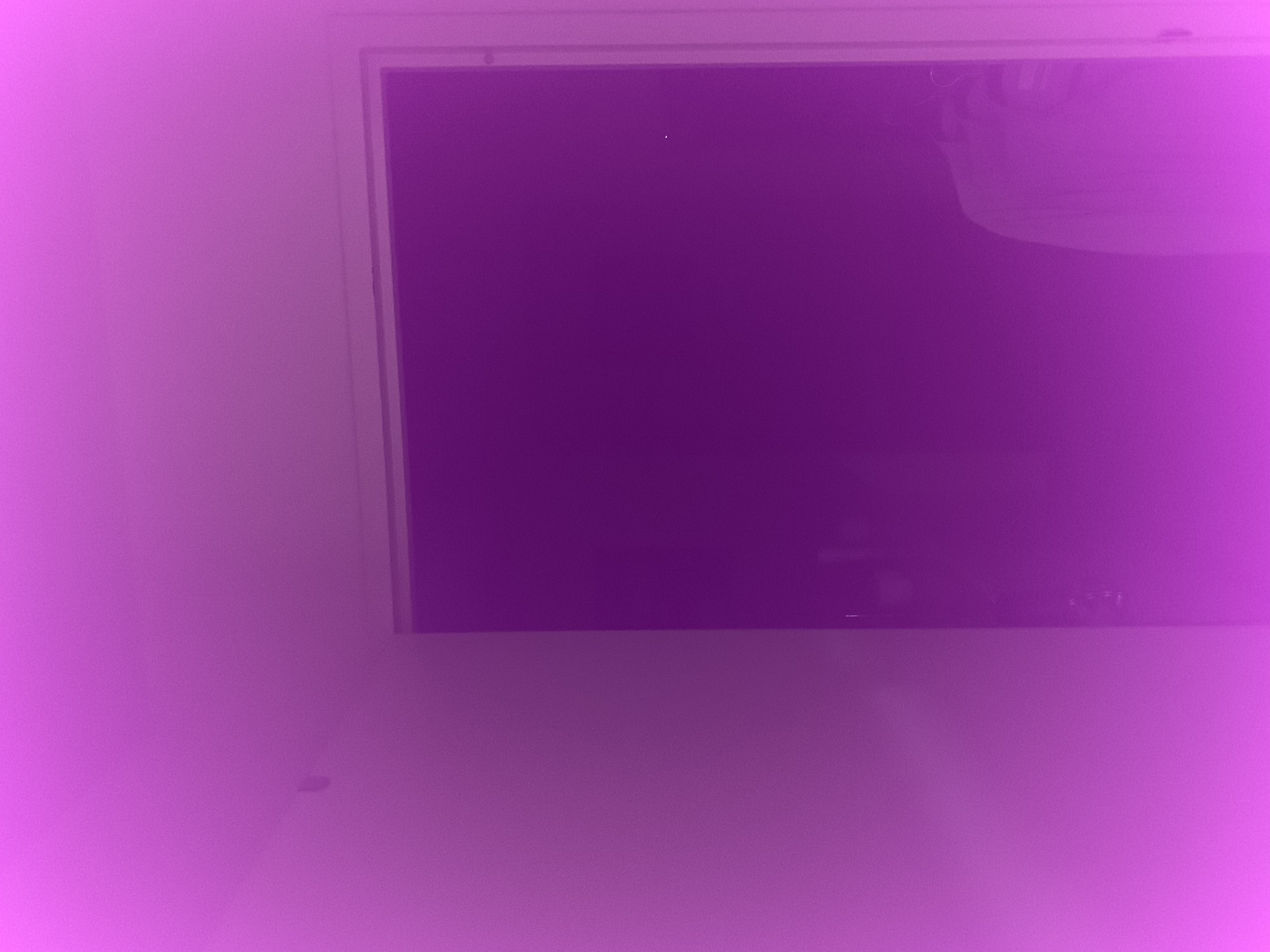 Purple / XS