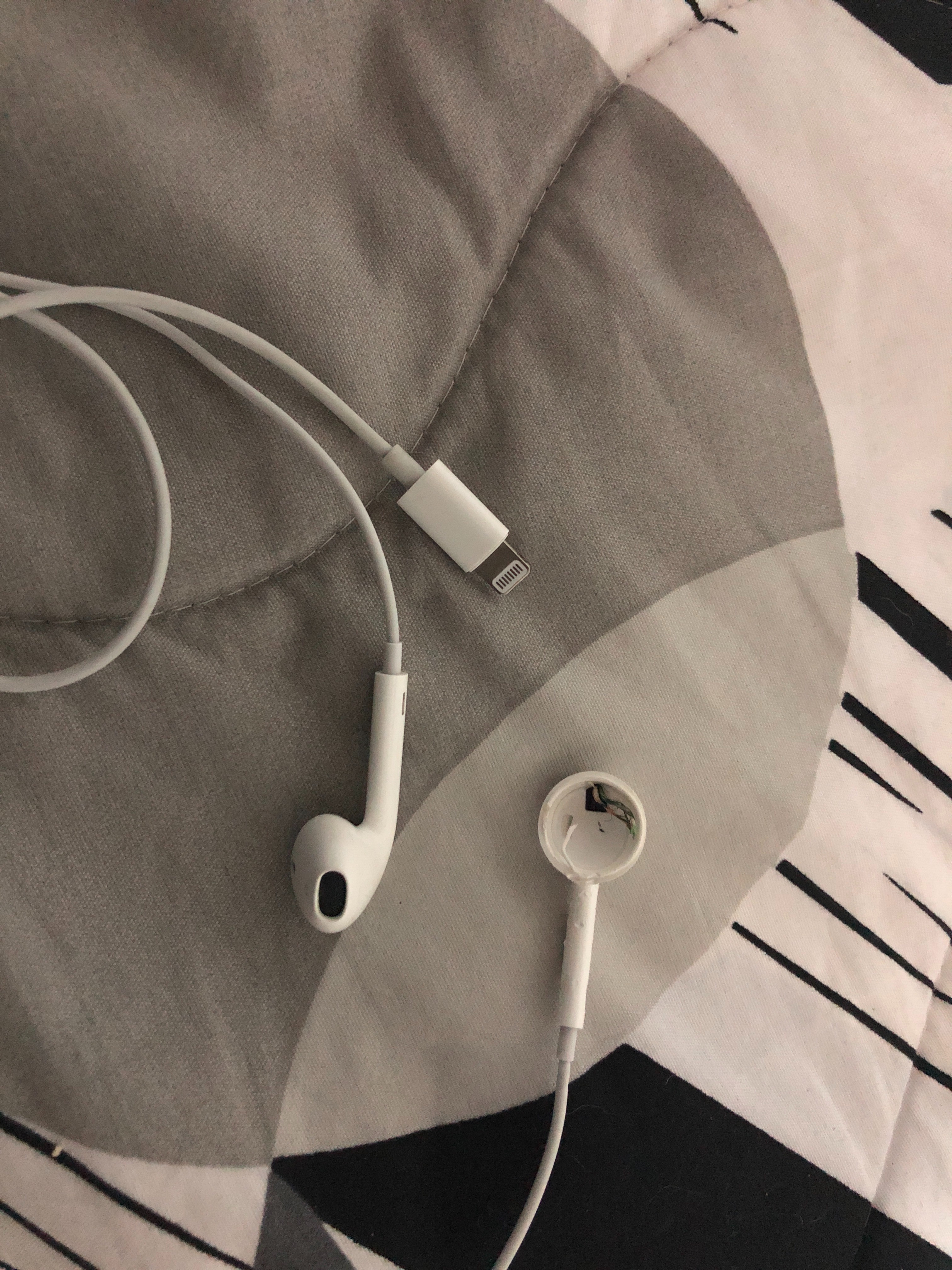 My dog ate one of the EarPods, if I go to… - Apple Community
