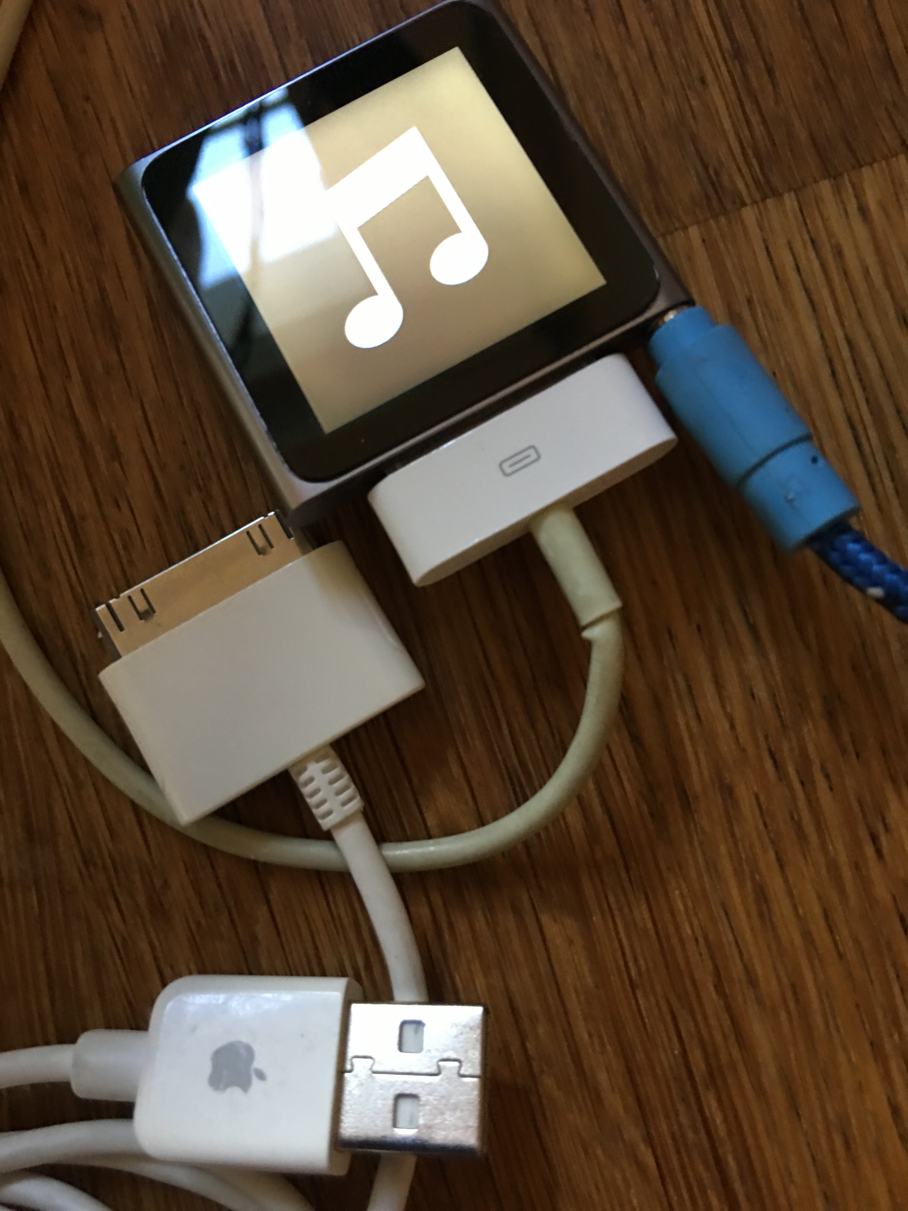 apple 30 pin cable