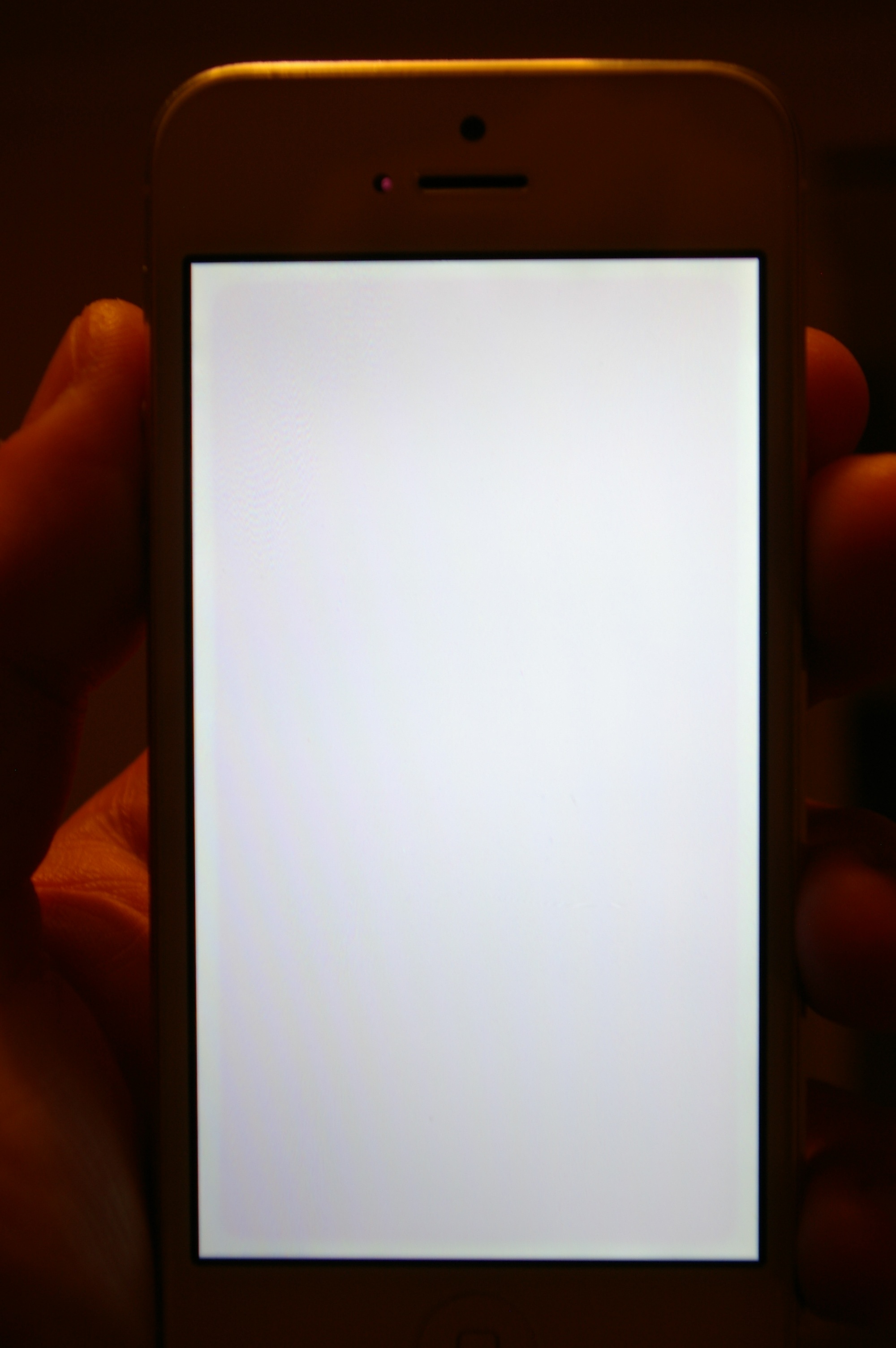 iPhone 5 screen became pinkish (warm whit… Apple Community