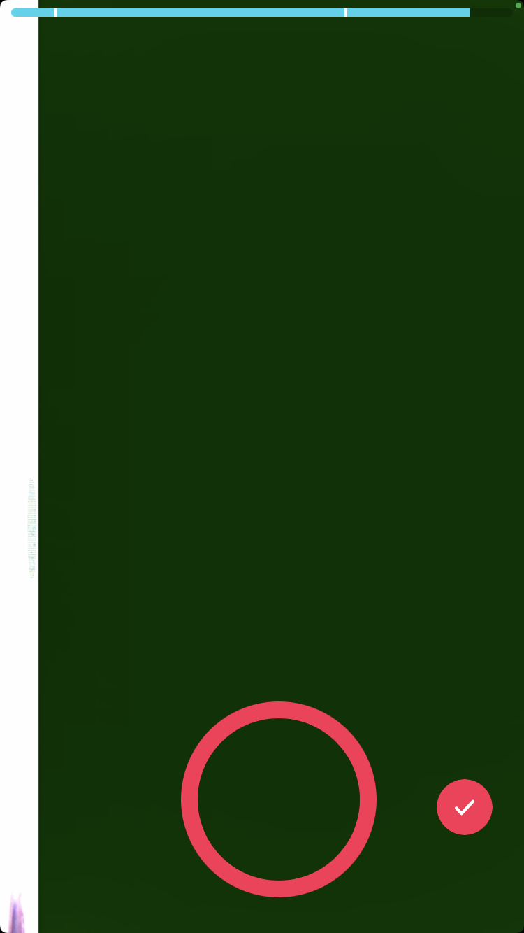 Front camera screen turns green when I re… Apple Community