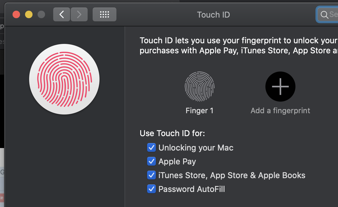 Touch id что это