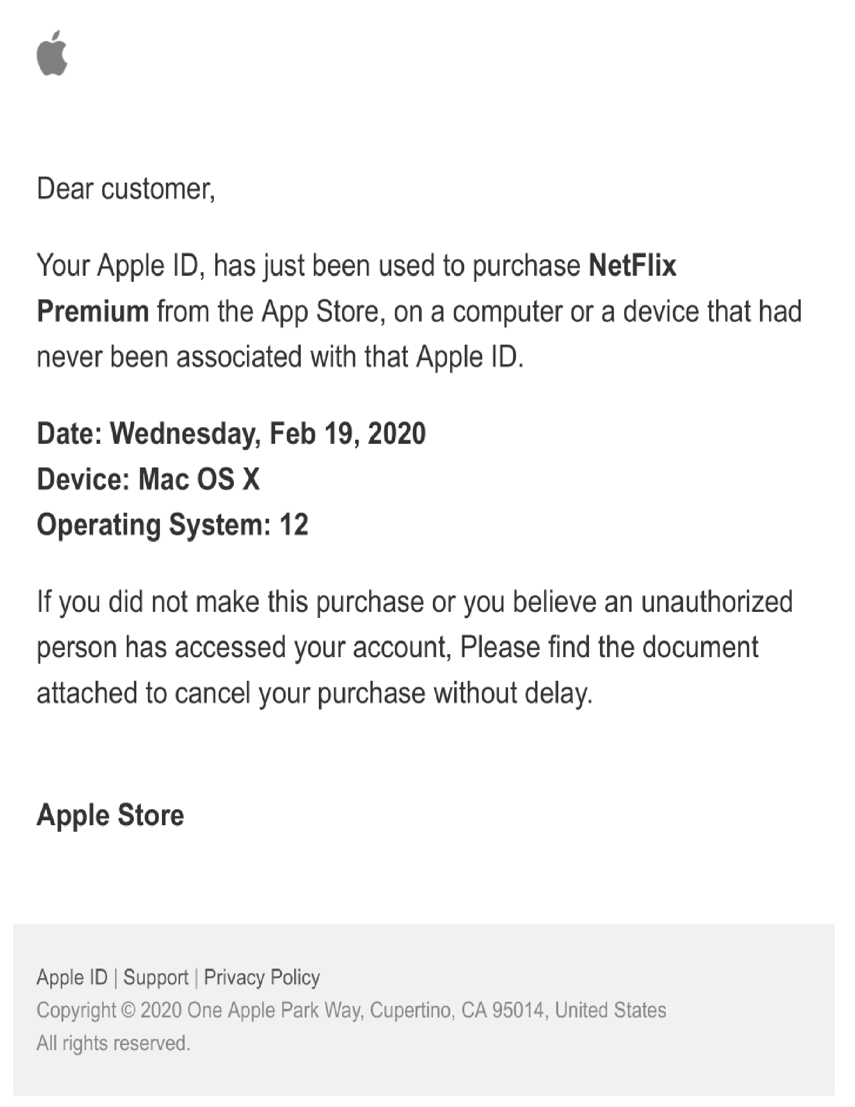 Unauthorized Netflix Subscription Apple Community