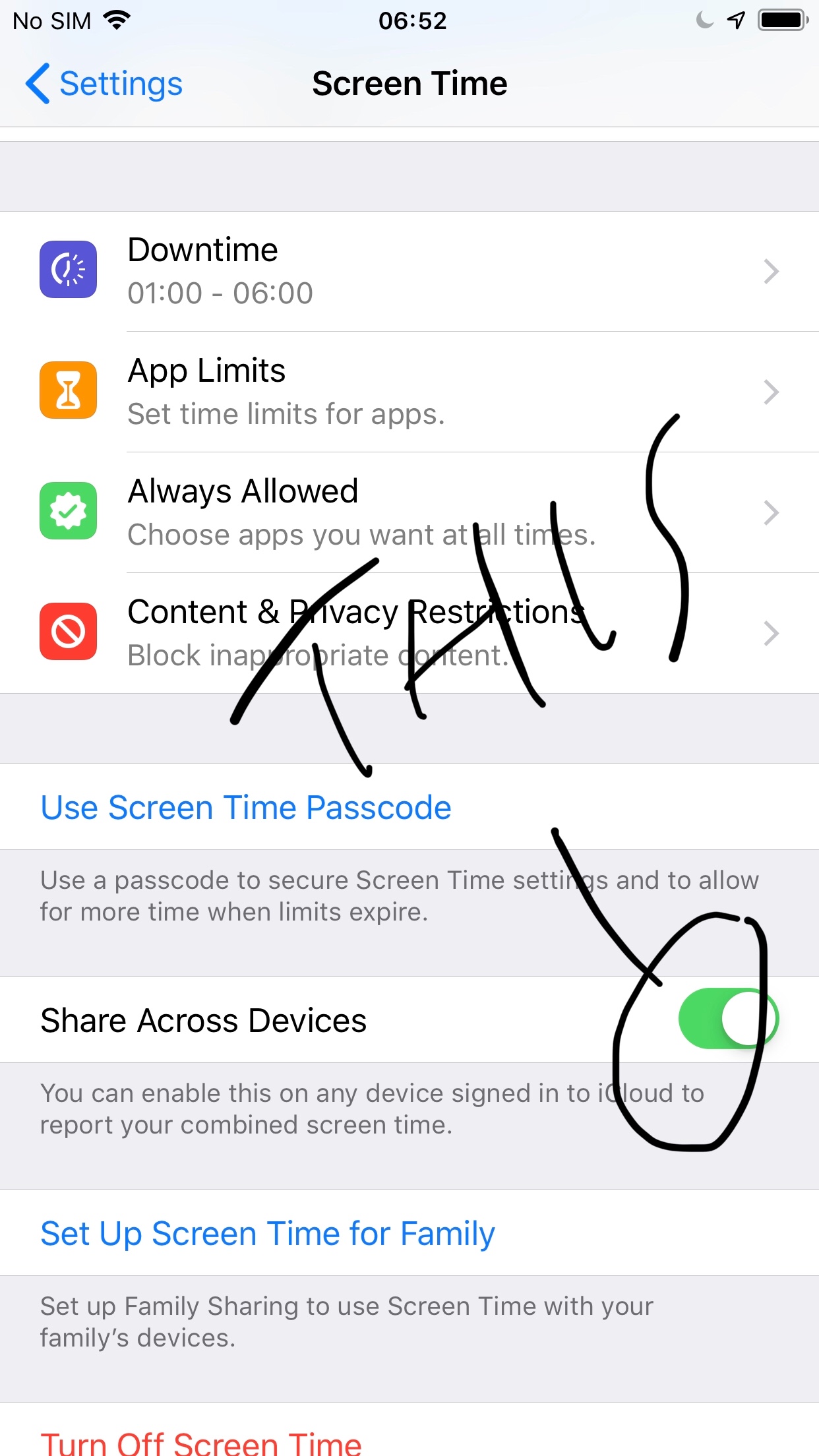 Screen Time For Family & Blank Screen - Apple Community