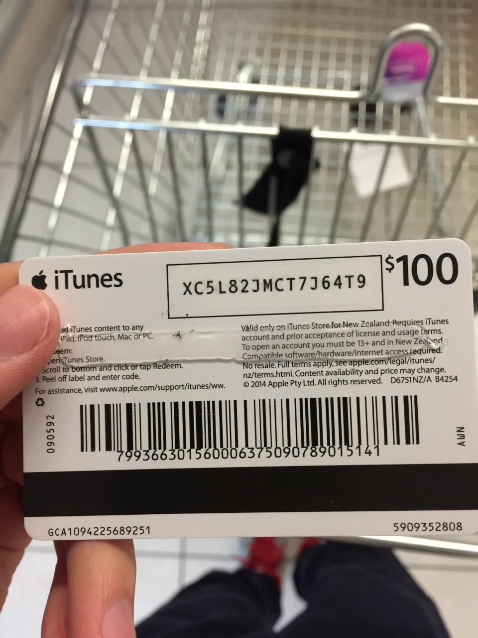 $100 iTunes