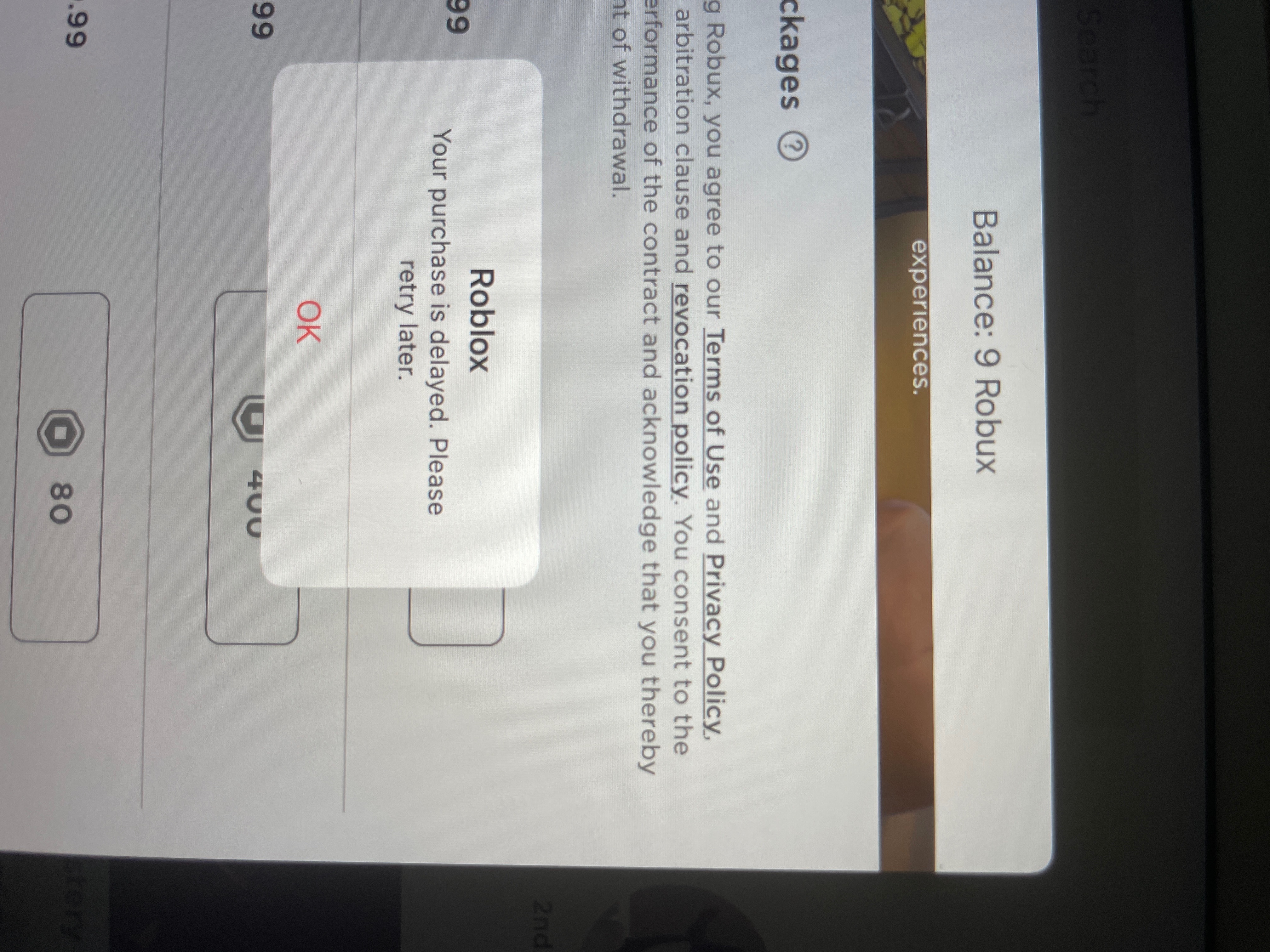 My Roblox purchase is delayed - Apple Community
