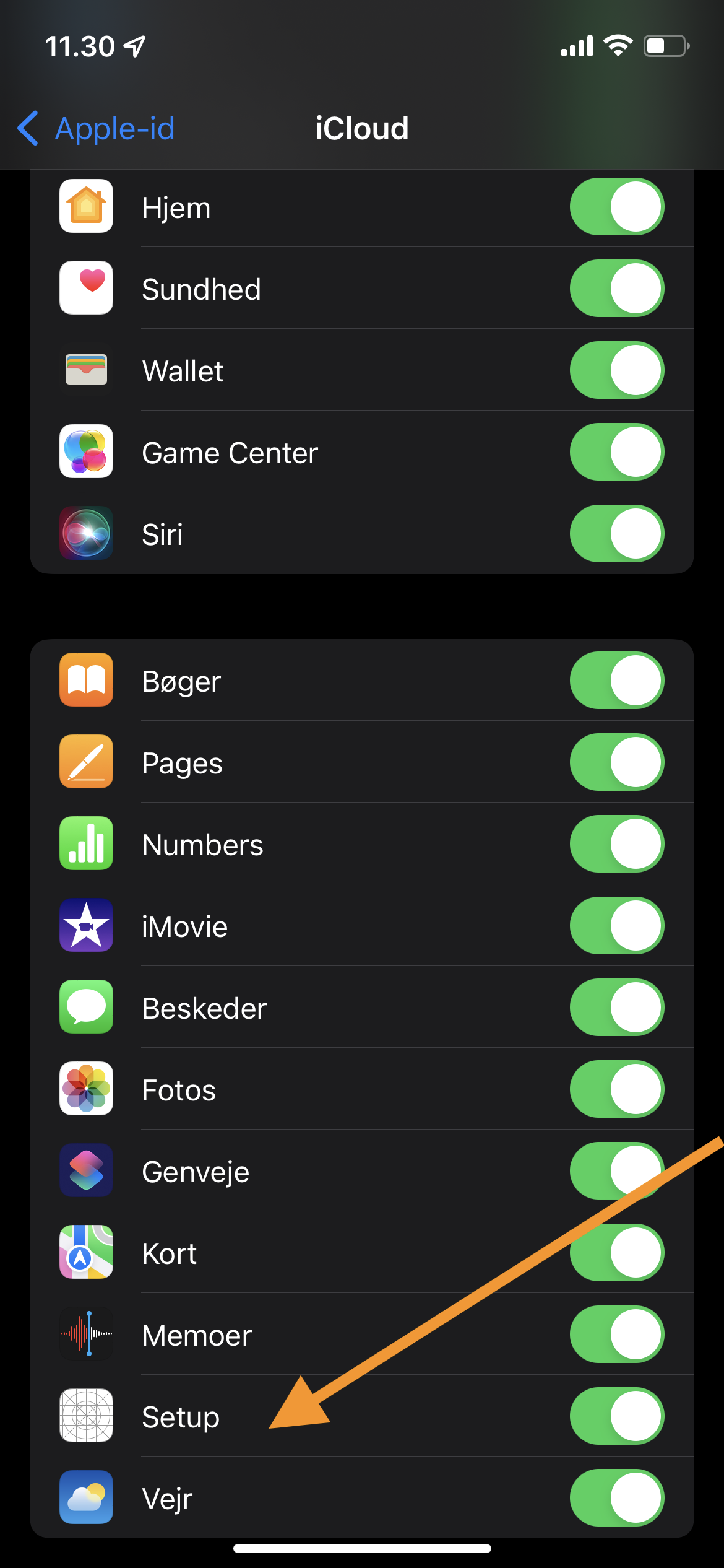 "Setup Icon" inside Apple ID > iCloud Apple Community