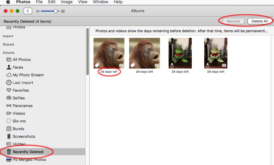 Import iphoto library to photos
