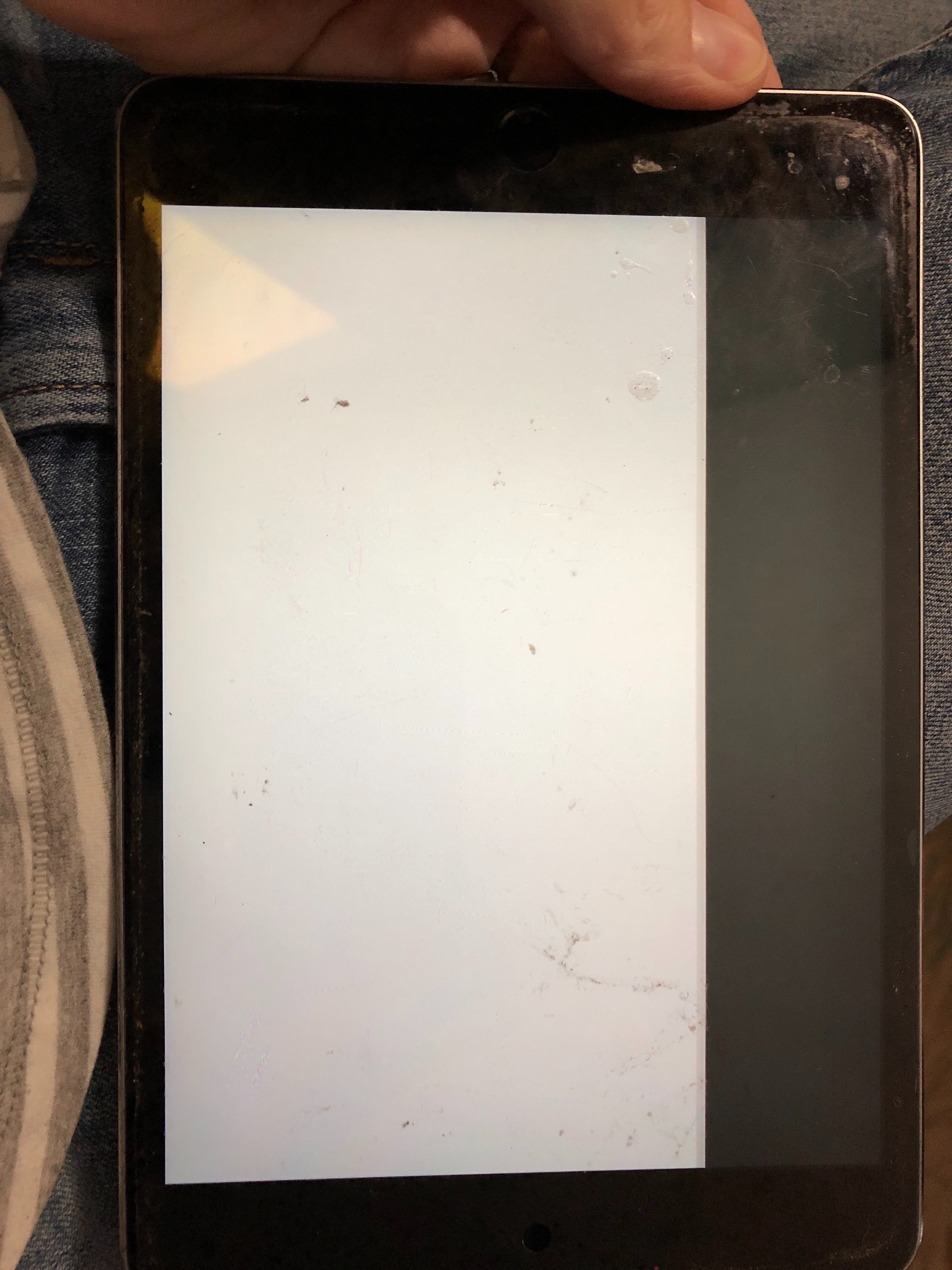 iPad mini screen issues Apple Community