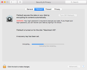 how to stop filevault encryption in progress?