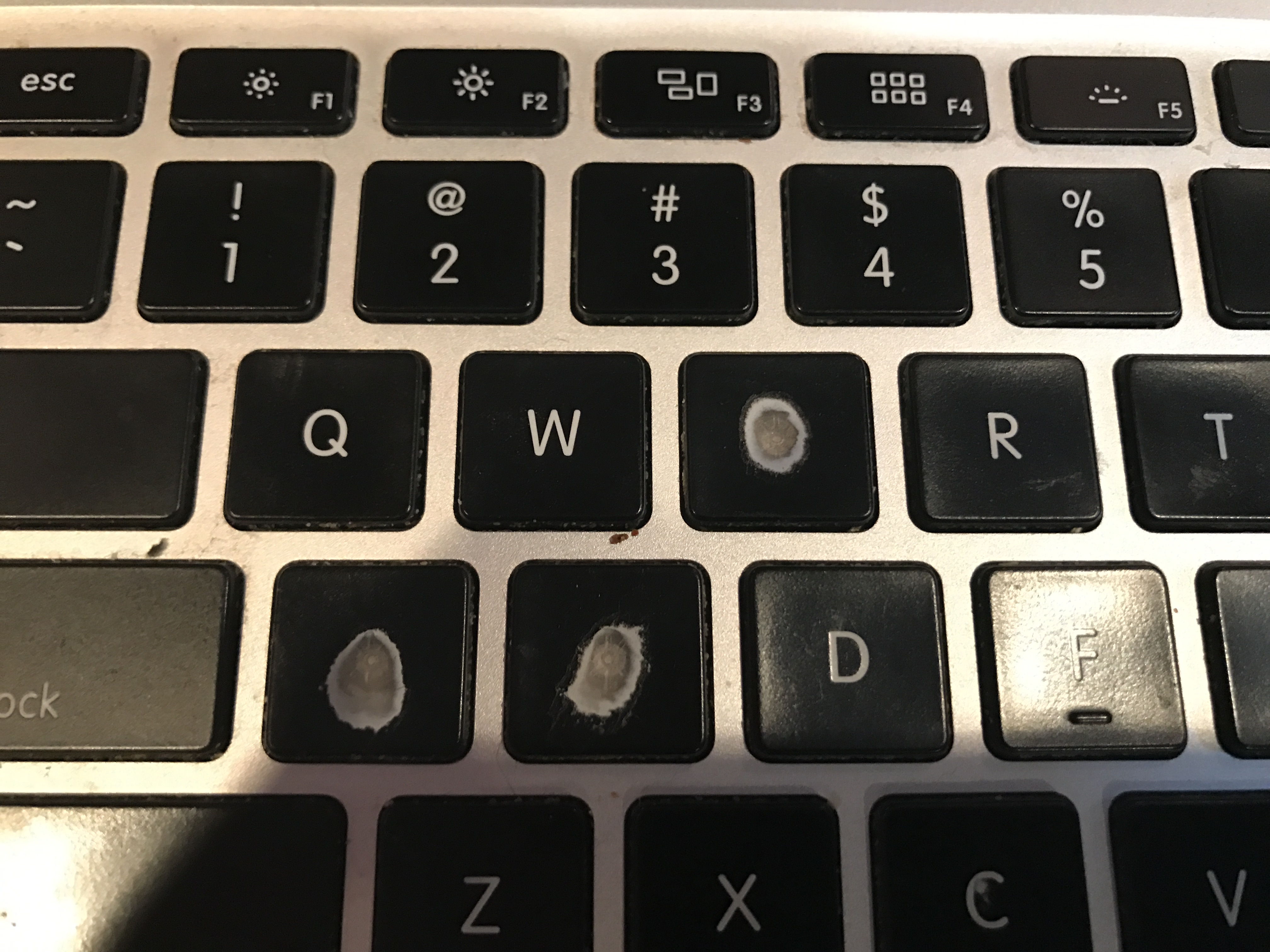 Буквы клавиатуры поменялись местами. Red Scwear клавиатура. Животные знаками на клавиатуре.