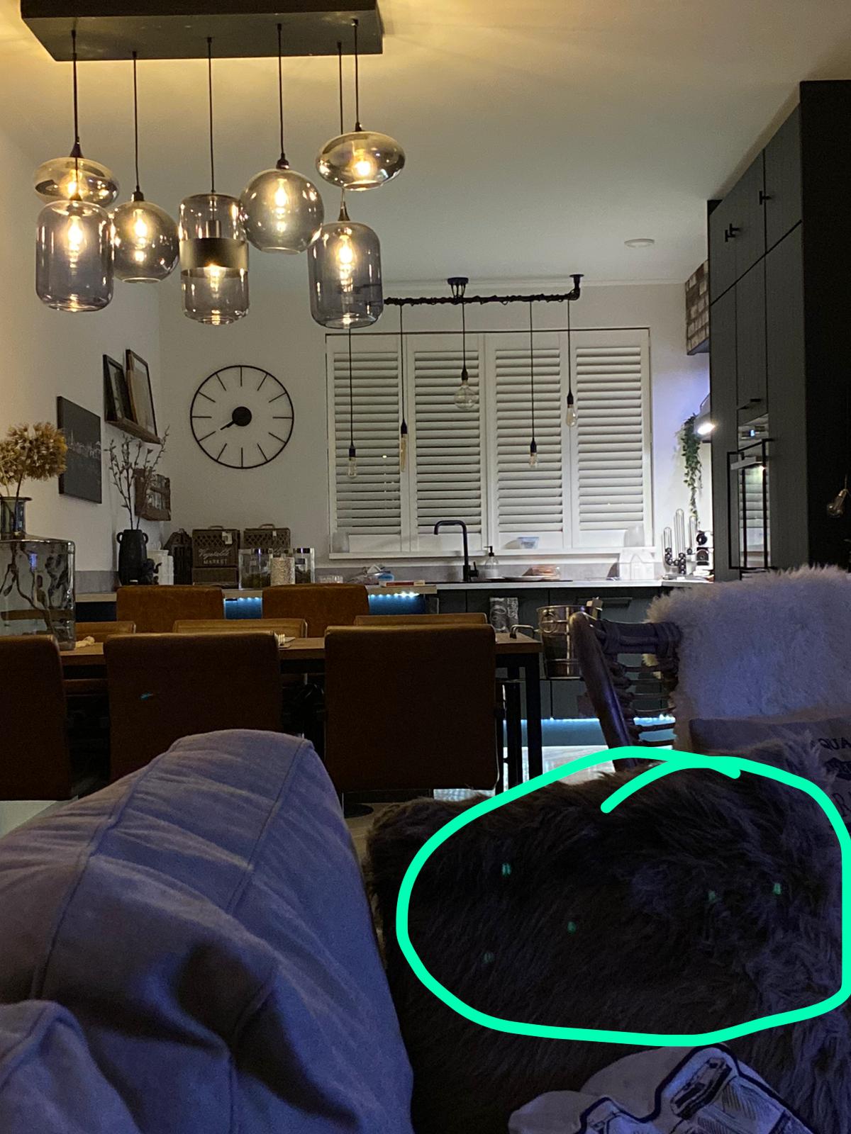 Iphone 11 camera issues Apple Community