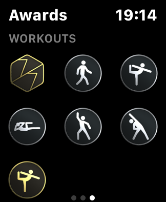 Apple watch store other workout