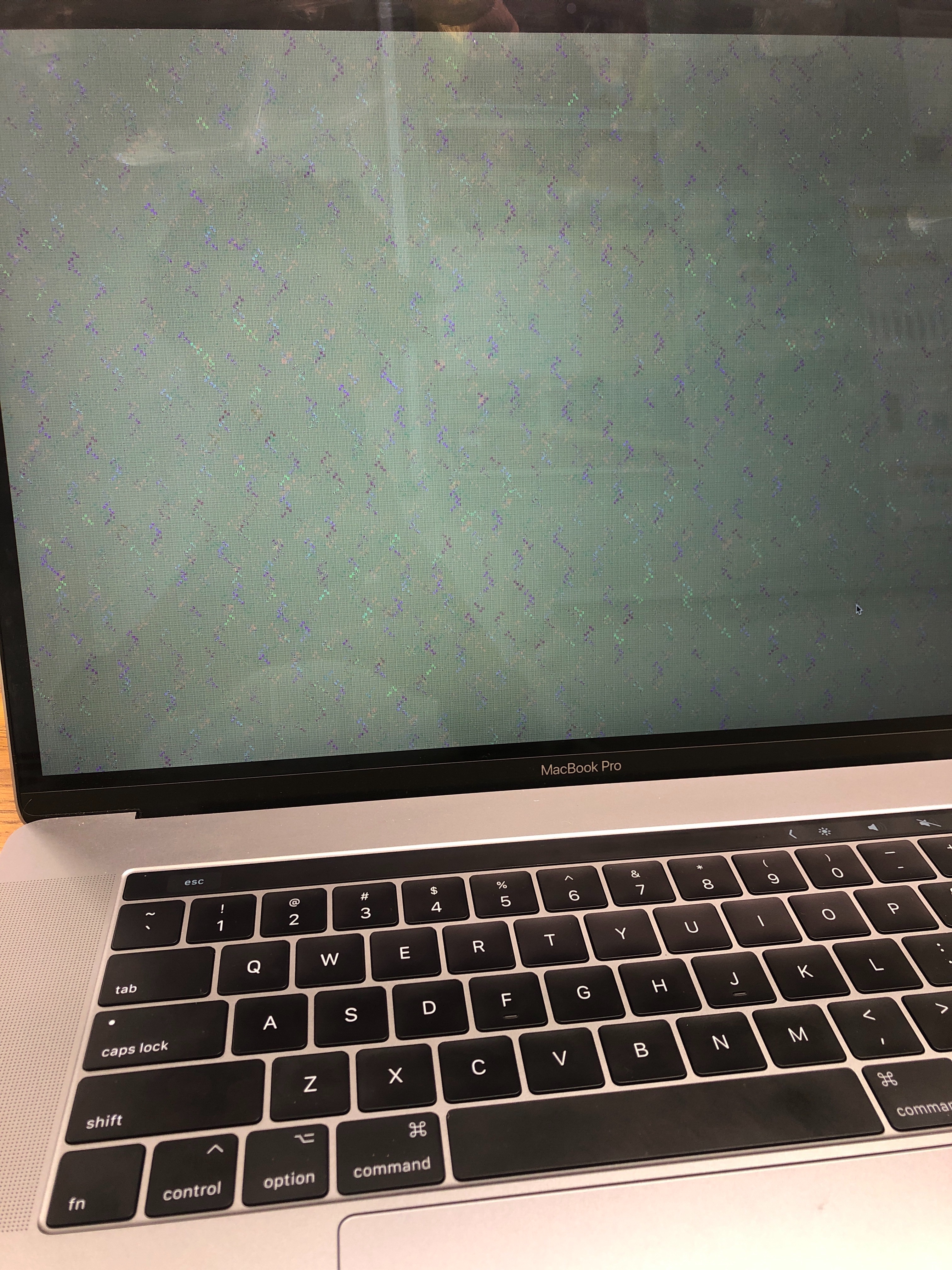 apple macbook display not working