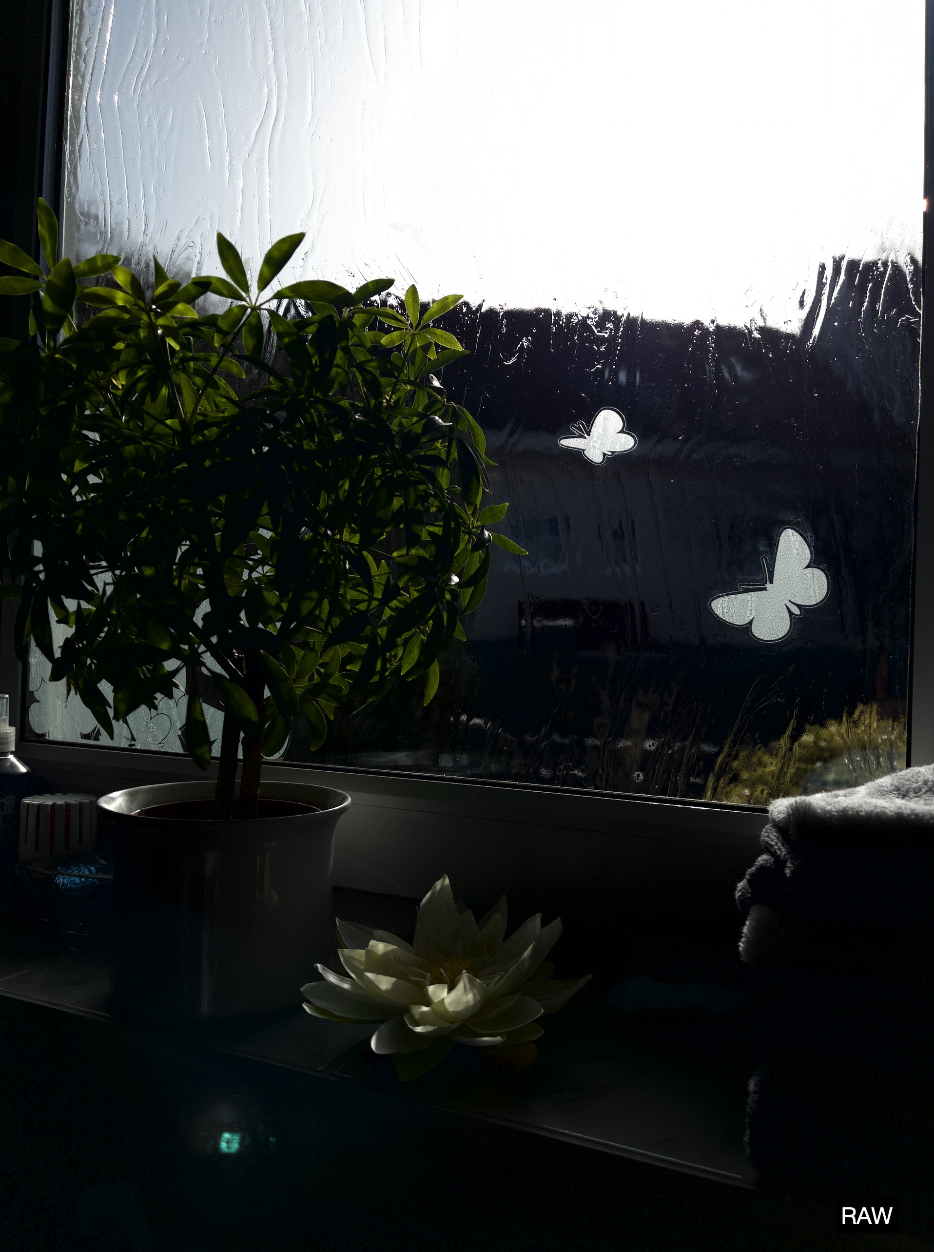 Why does my iPhone 12 Pro Max Photo auto … - Apple Community