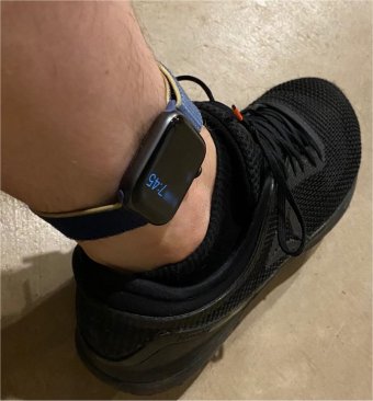 Wearing your Apple Watch - Apple Support