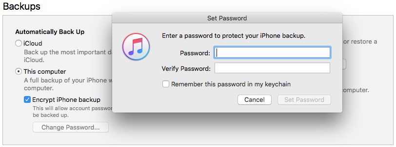 enter the password to unlock your iphone backup file