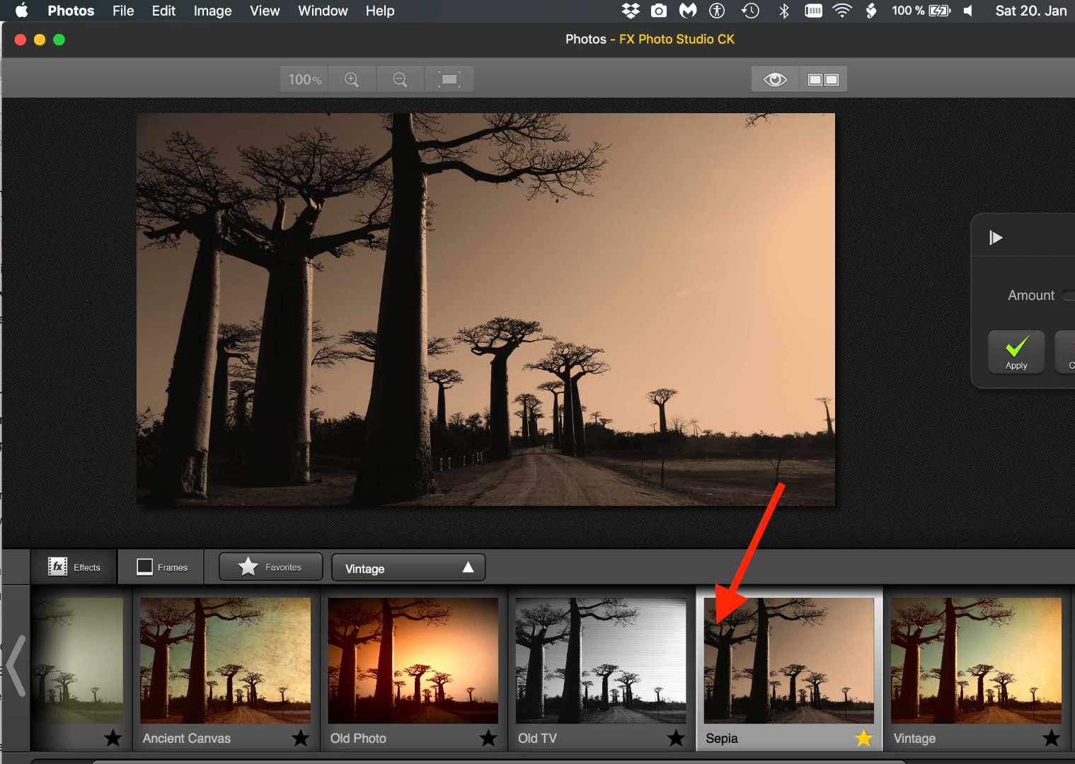 How do I apply the sepia effect in photos? Apple Community
