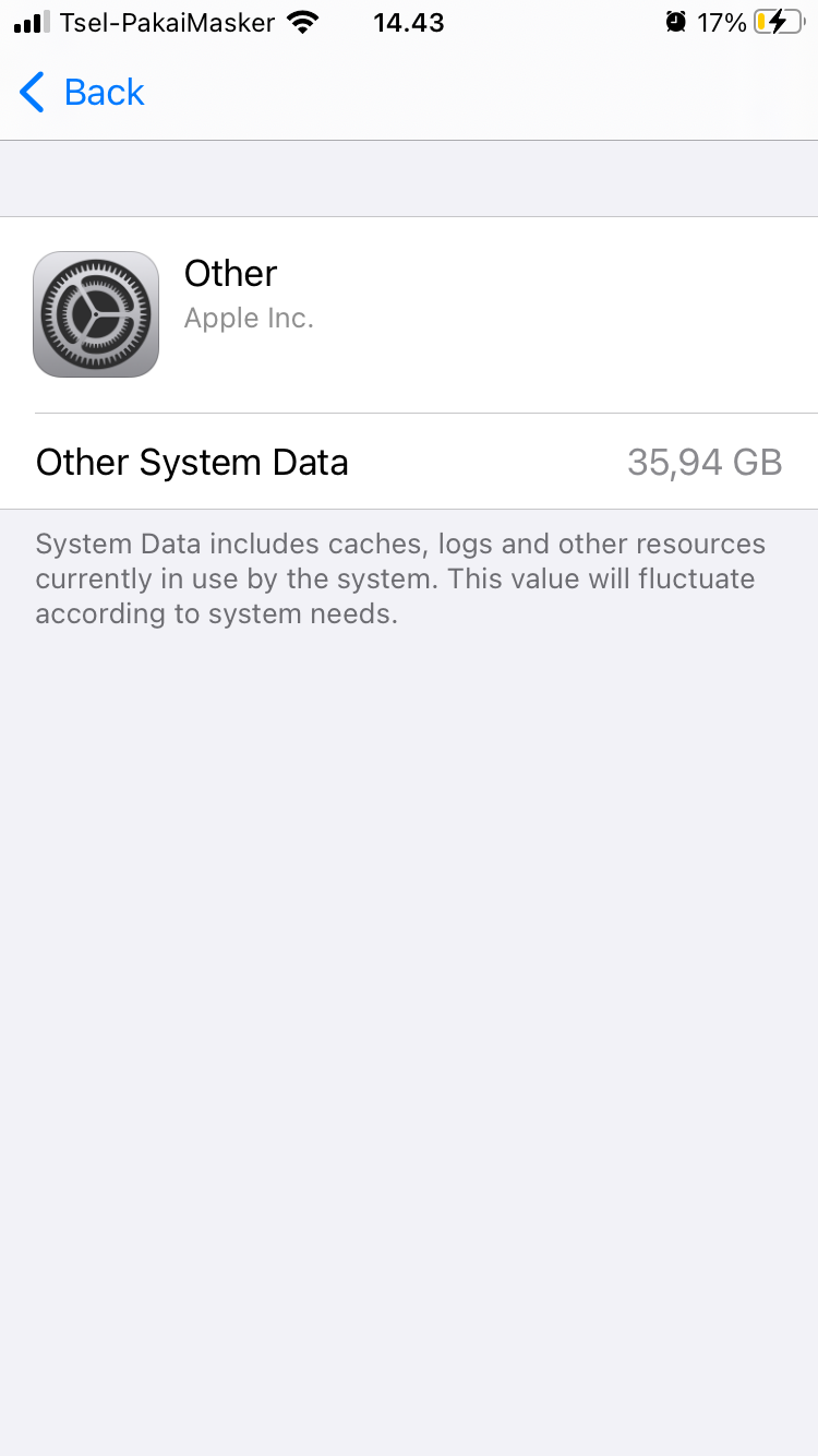 how-to-clear-other-sistem-data-on-my-ipho-apple-community