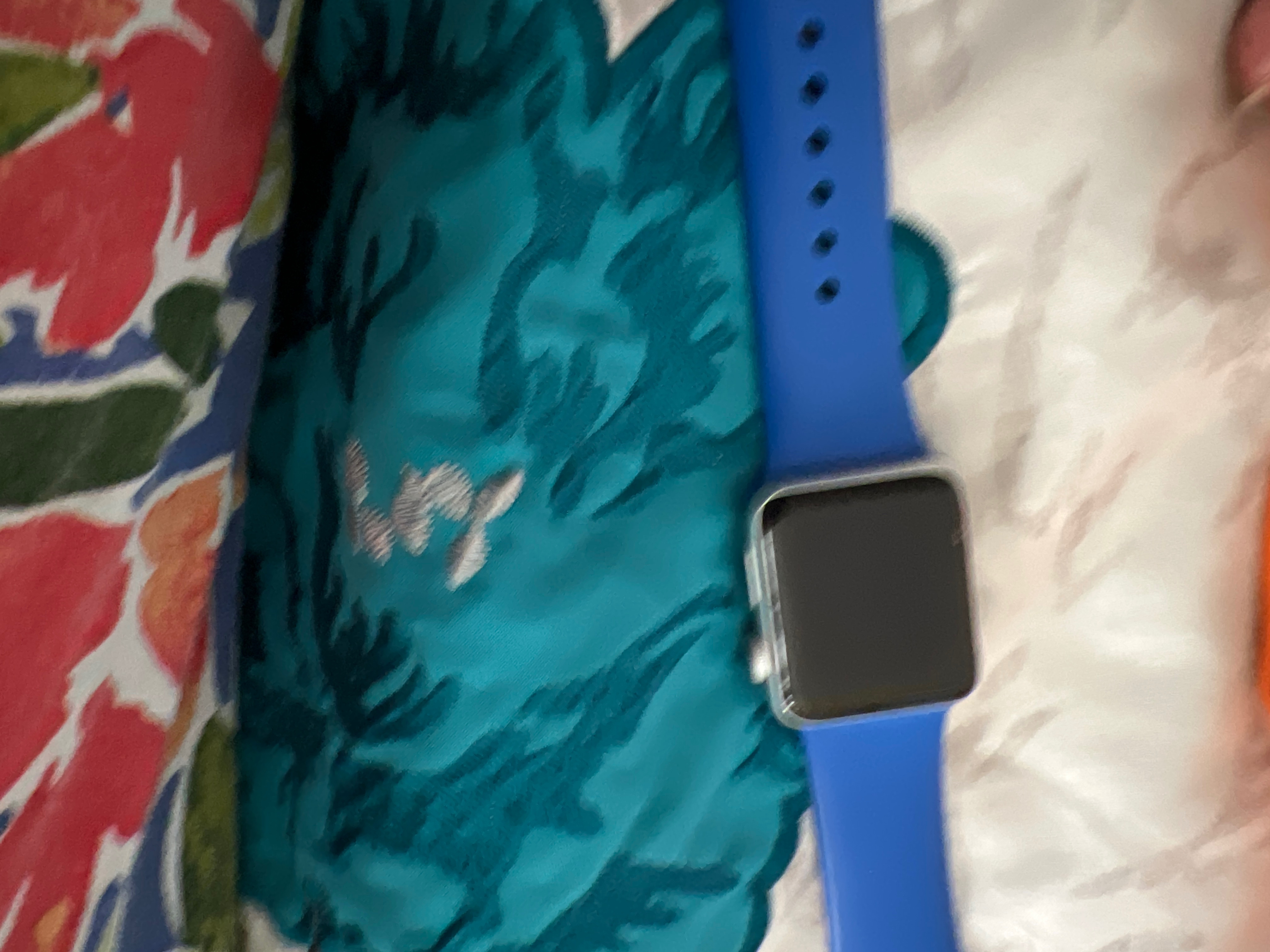 Apple watch stuck discount on apple icon