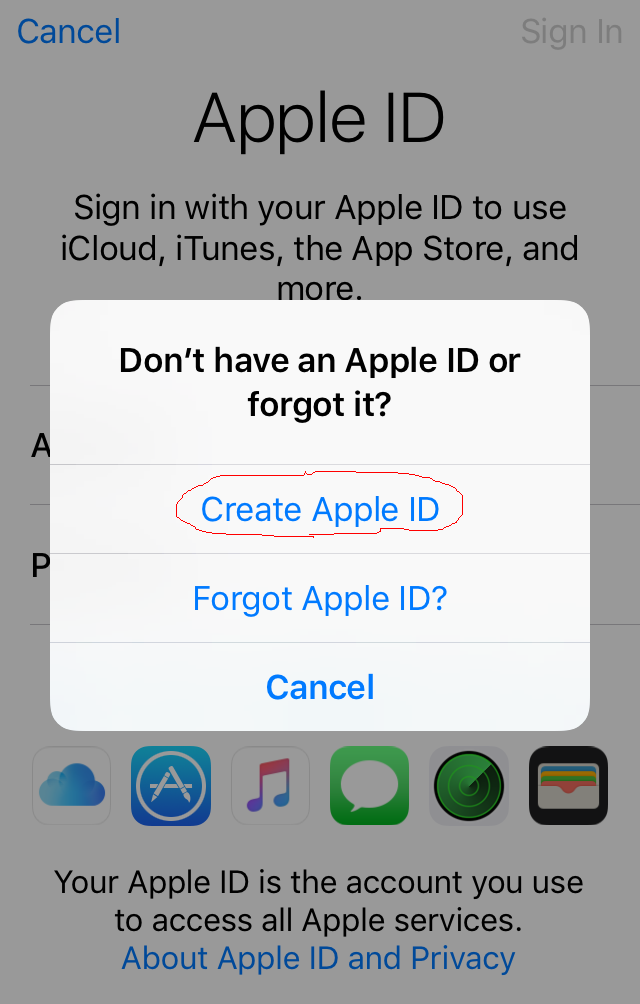 Creating an Apple ID - Errors - Apple Community