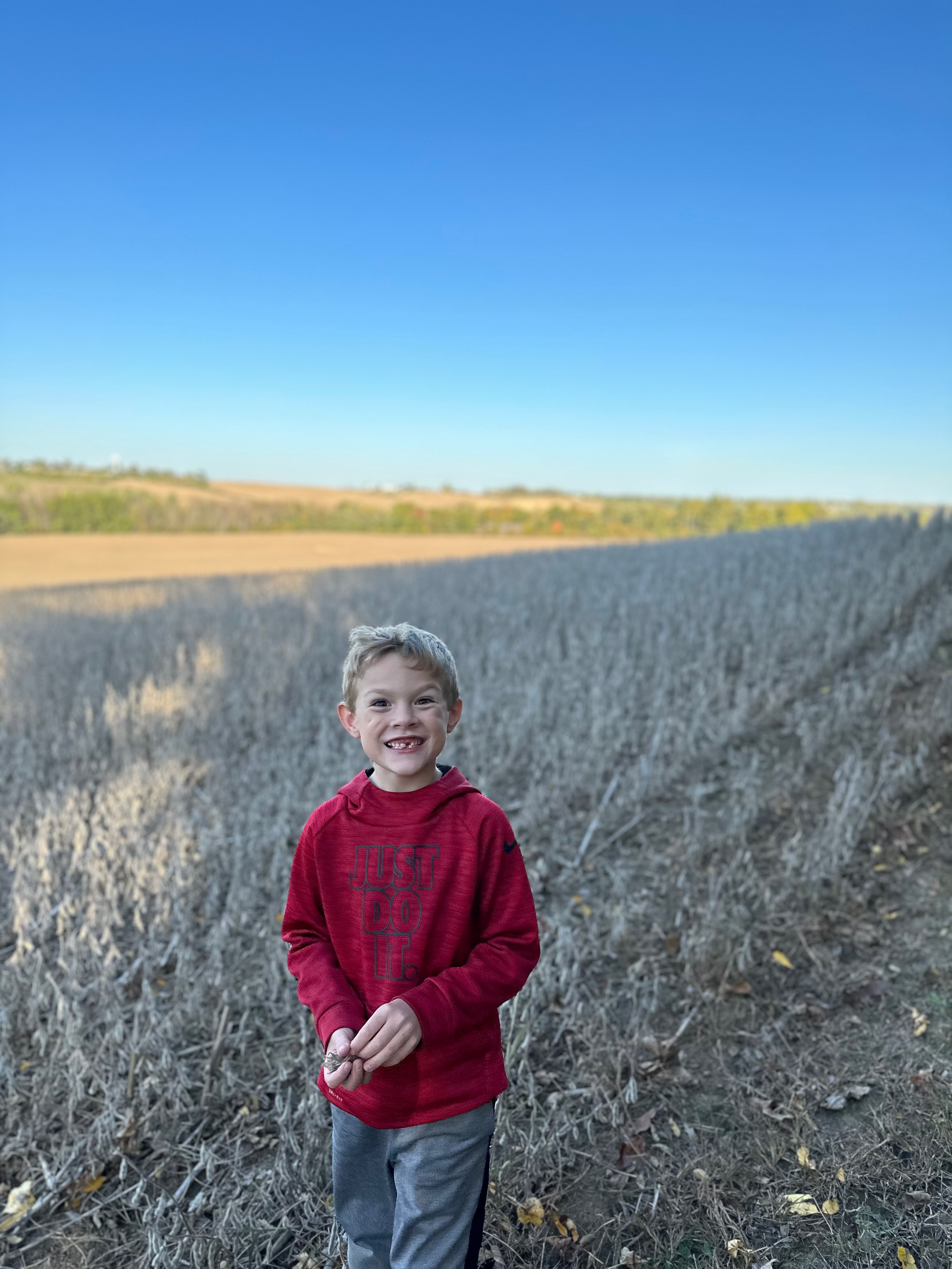 iPhone 14 Pro Stock Camera takes Blurry P… - Apple Community