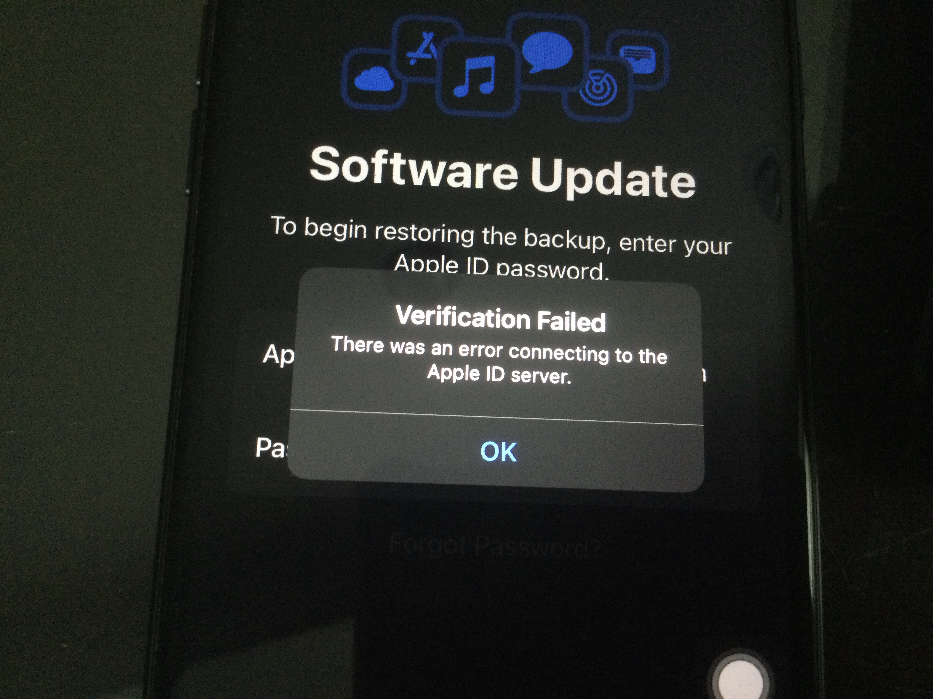 Verification Failed Apple Community 