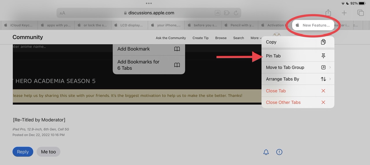 ipad safari pin tab
