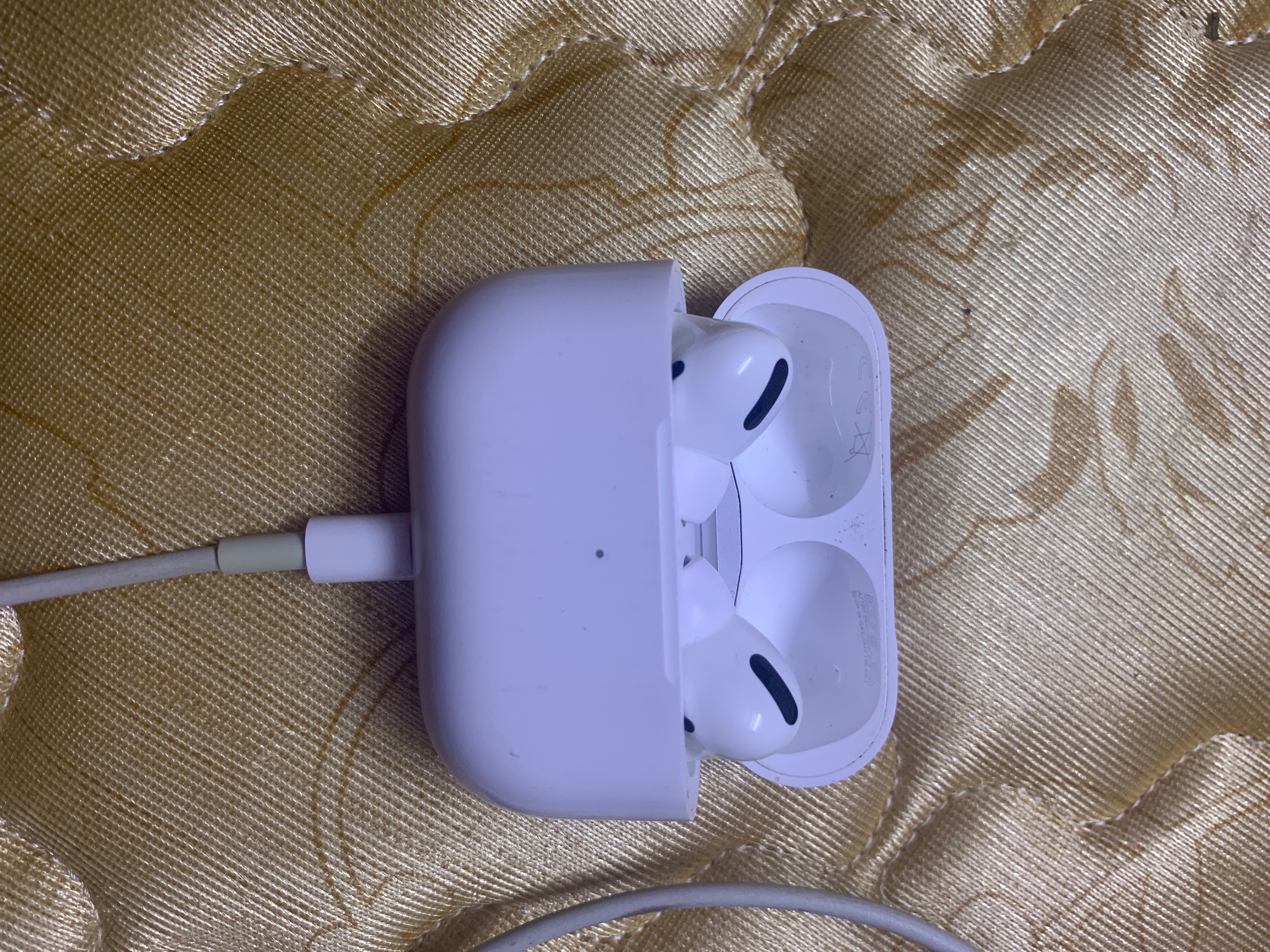 Medarbejder Fortære Hovedgade My airpods pro case isn't charging!!!! - Apple Community