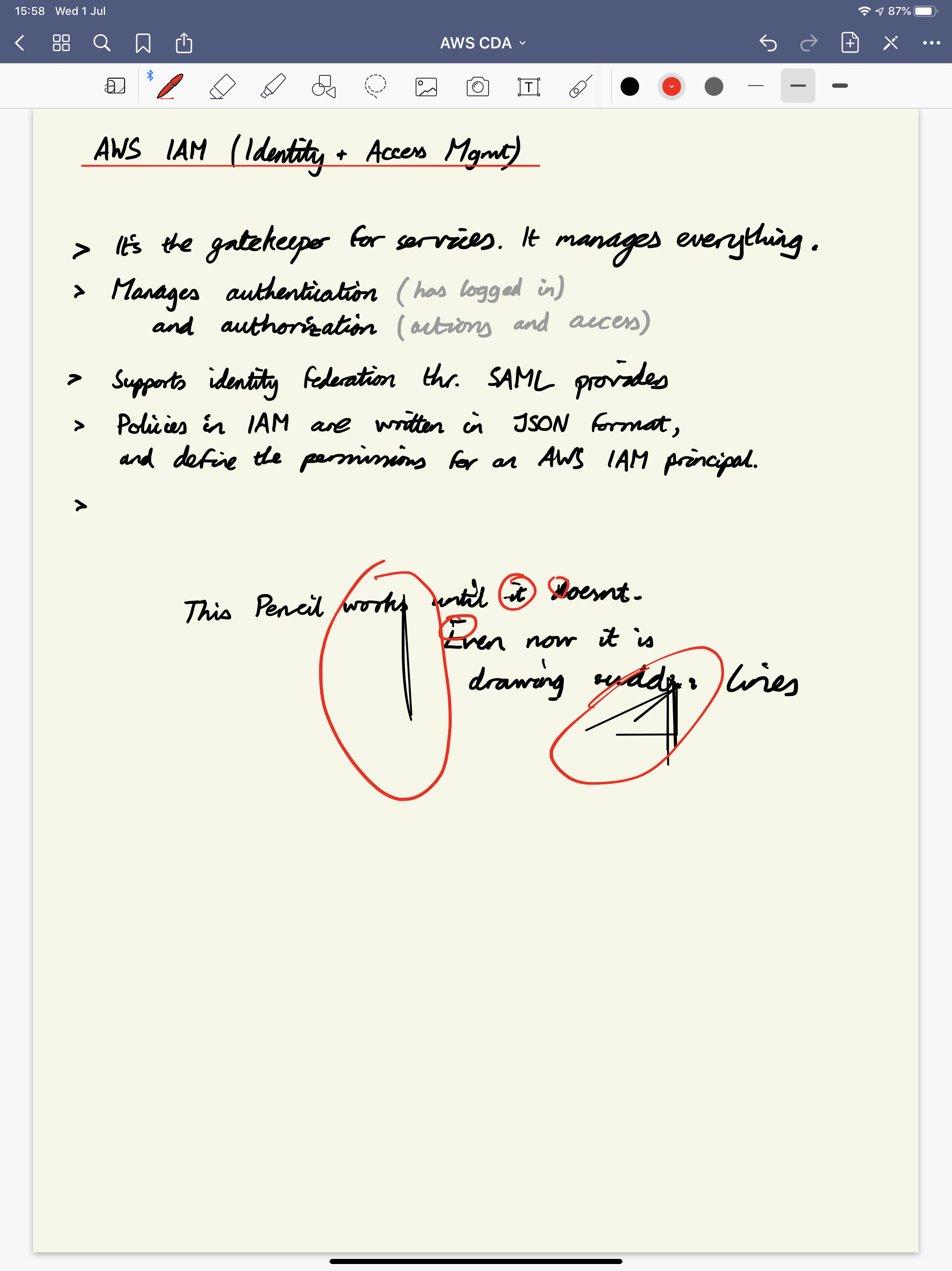 Weird Apple Pencil Glitching With Latest Apple Community