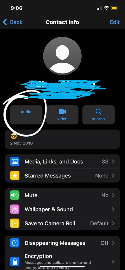 Audio Call Icon Missing In View Contact F Apple Community