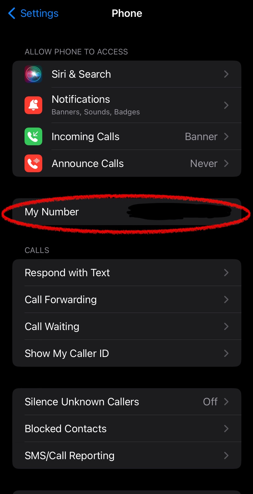 I can&rsquo;t change the number in iPhone setti… - Apple Community