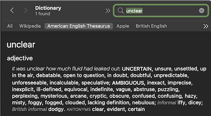 DICTIONARY definition in American English