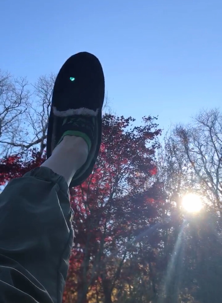 Green orb in iPhone camera - Apple Community