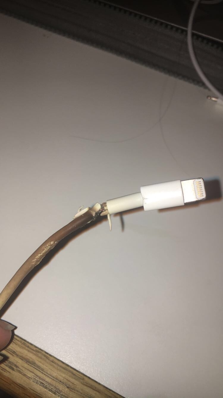 Charger Apple Community