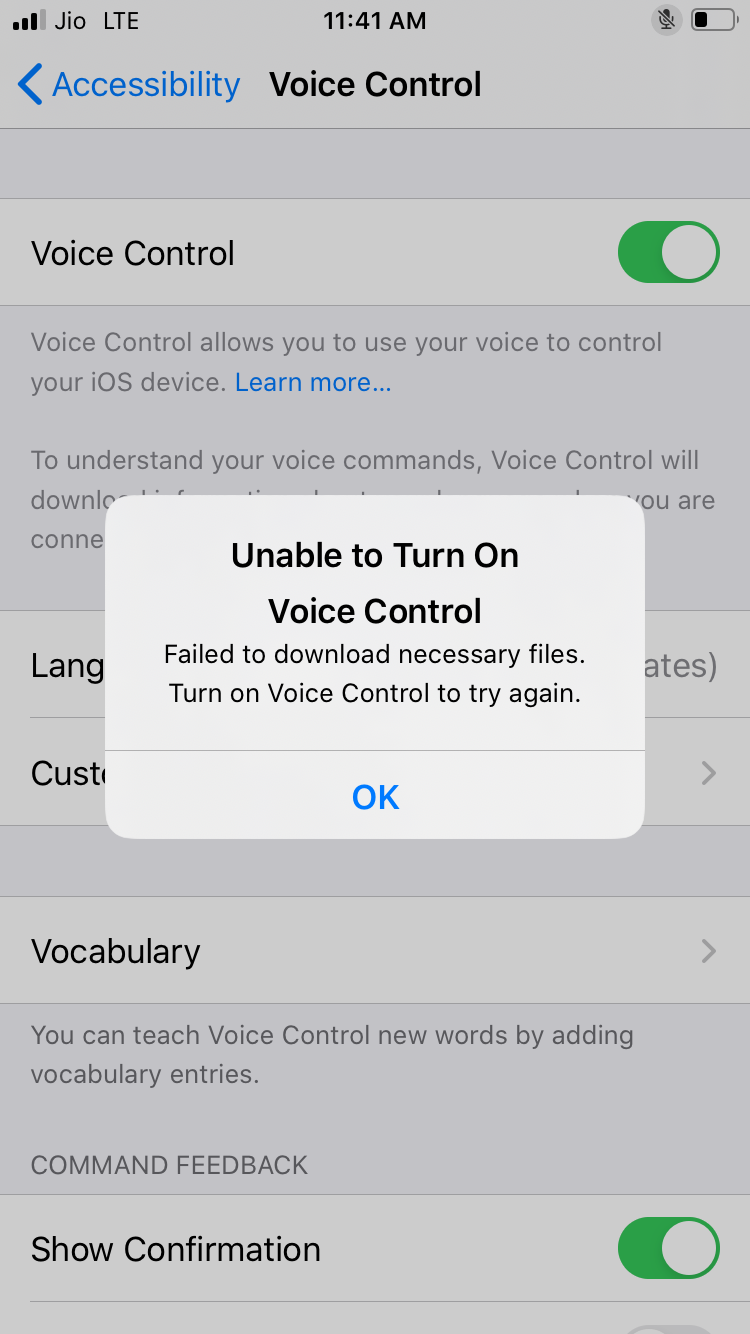 Unable to turn on Voice control - Apple Community